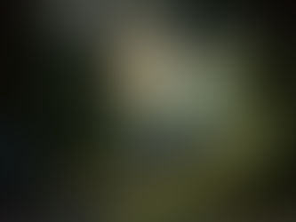 奥八女焚火の森キャンプフィールド