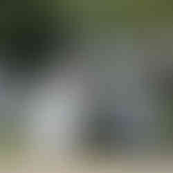 奥八女焚火の森キャンプフィールド