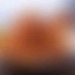 奥八女焚火の森キャンプフィールド