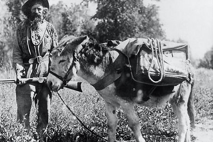 Colonel Gardiner - took part in the Nez Perce retreat across Yellowstone National Park; Photographer unknown; Around 1877