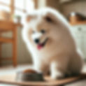A_cute_Samoyed_dog_eating_from_a_food_bowl_in_a_co.jpeg