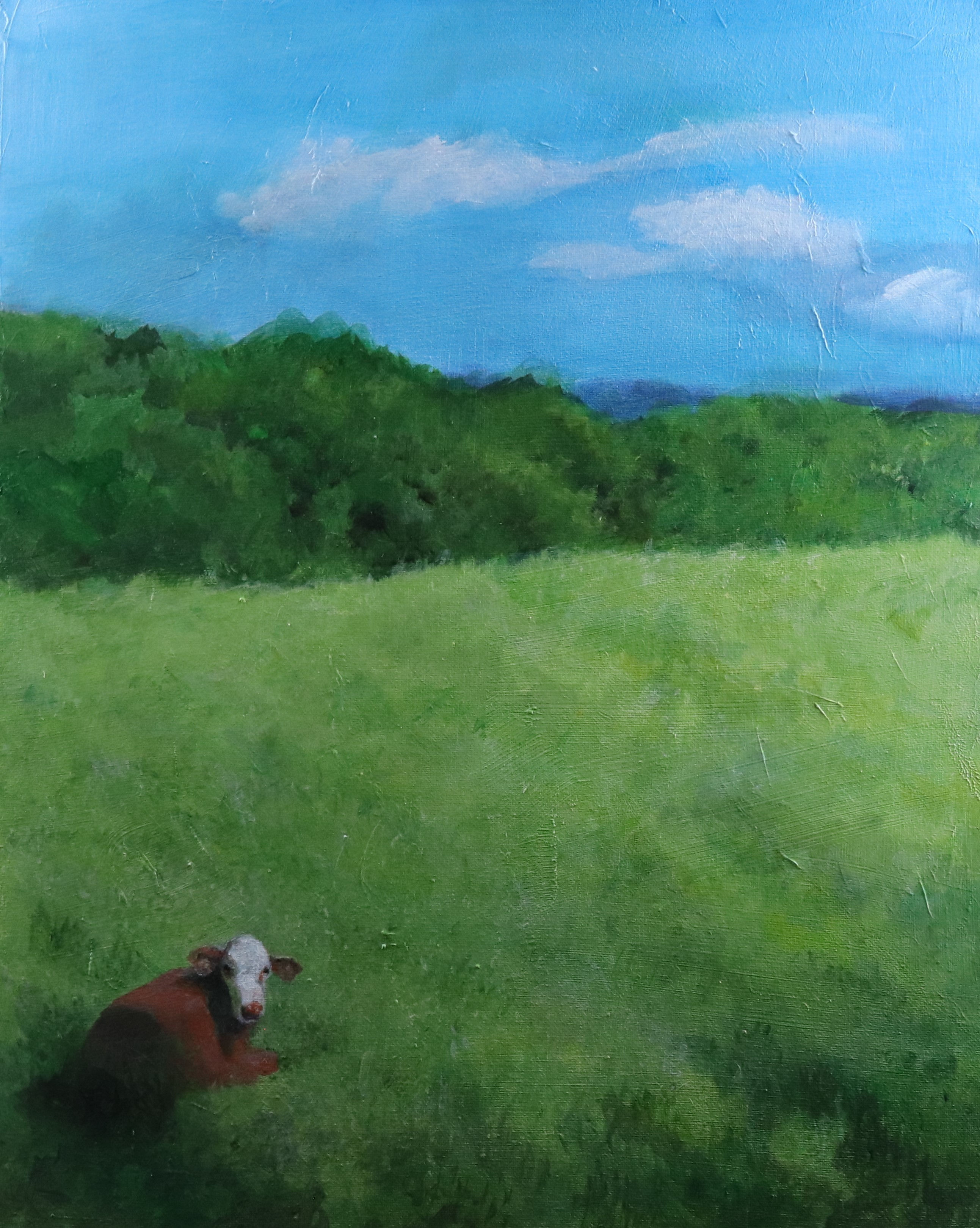 Enjoying a Sunny Day