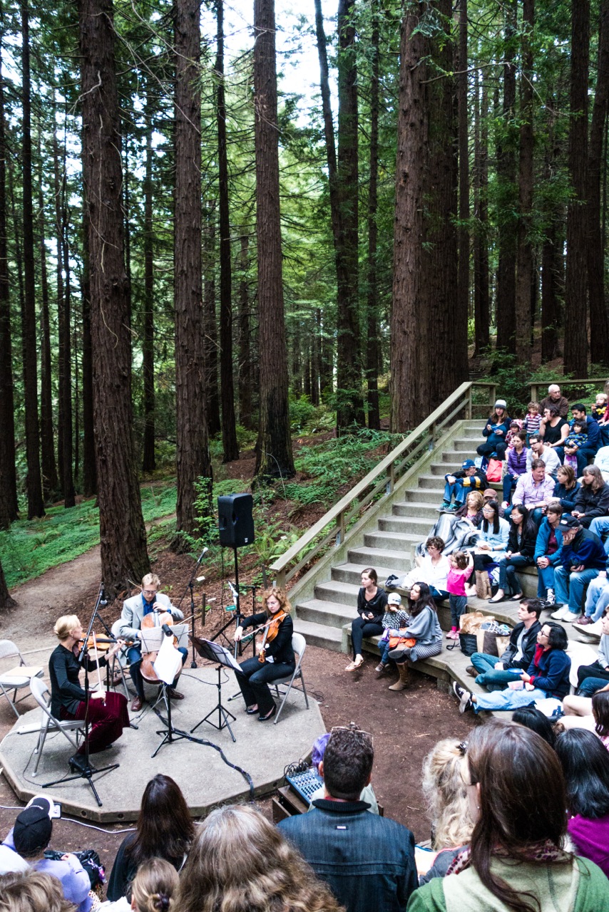 Chamber Music in the Redwoods