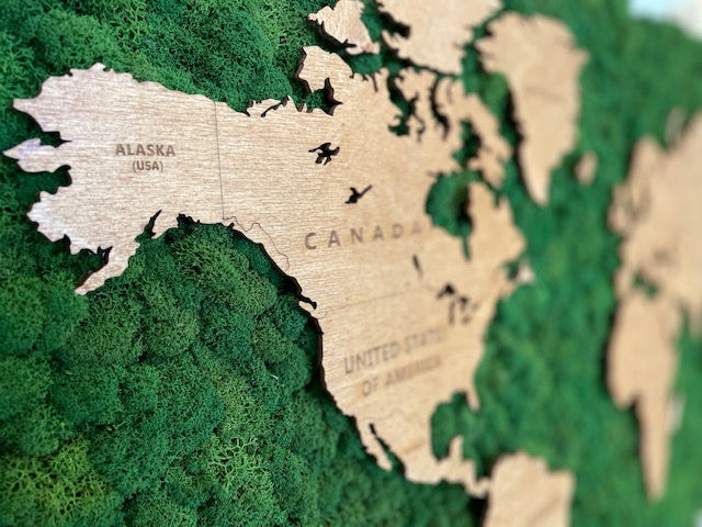 Miniaturbild: Weltkarte Islandmoos