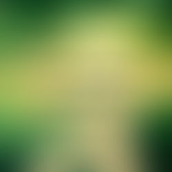 Saturday Morning Inspiration!