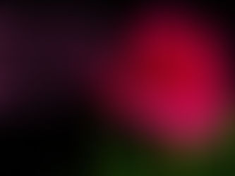 FRIDAY MORNING INSPIRATION!