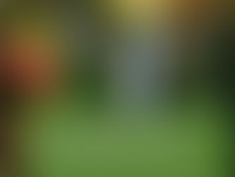 WEDNESDAY MORNING INSPIRATION!