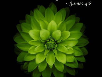 Saturday Morning Inspiration!