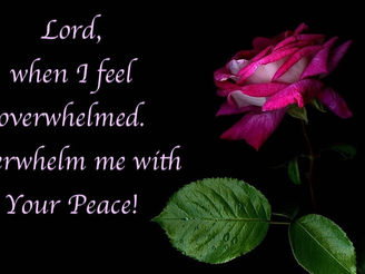 Thursday Morning Inspiration!