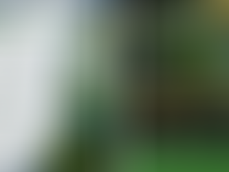 ISO 14001:2026 – What Has Changed and What It Means for Your Business