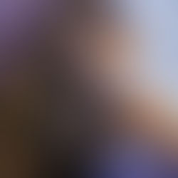 The Price of Followship and the Love of a Pup!