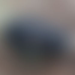 Pig Herders Squeal On Jesus