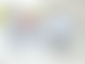RS-CIT Questions (401-450)