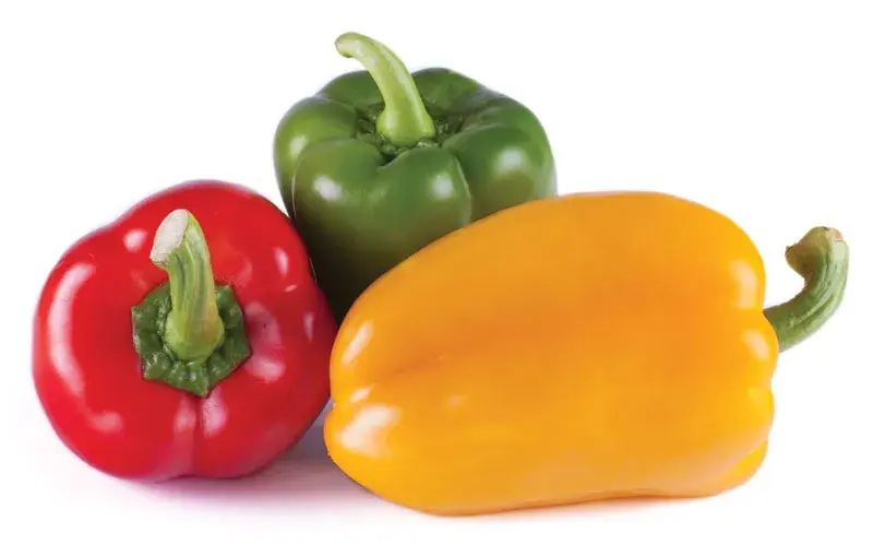 Fresh Bell Peppers
