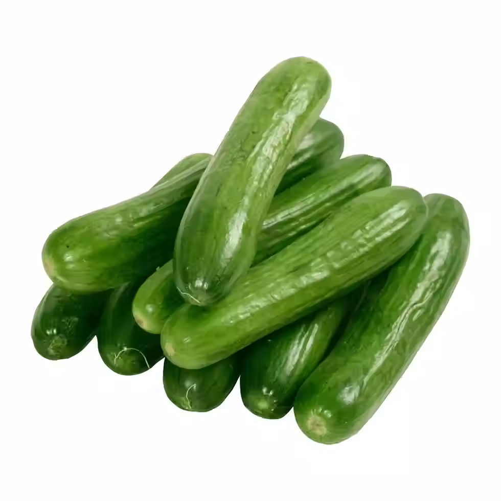 Fresh Cucumber