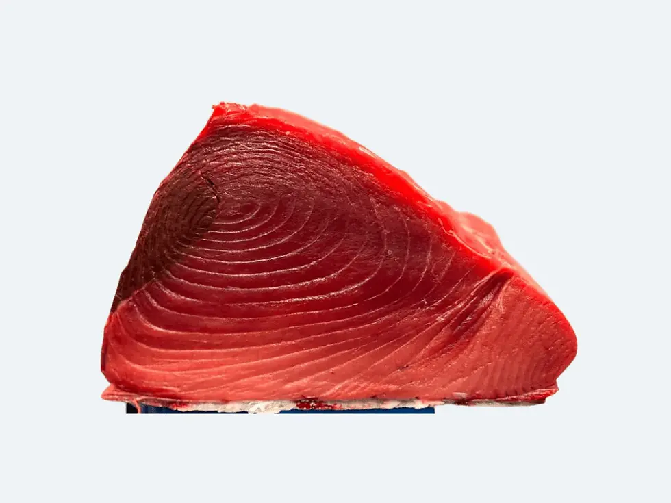 Fresh Tuna Fish