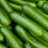 Thumbnail: Fresh Cucumber