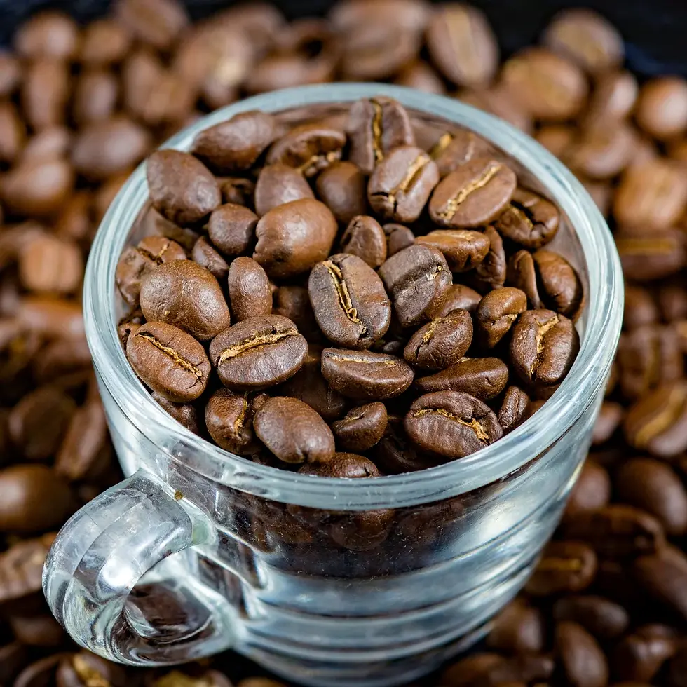 Arabica Coffee beans

