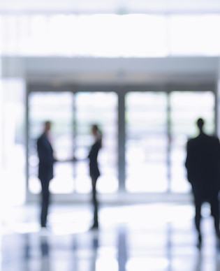 Borrosas Personas de Busines