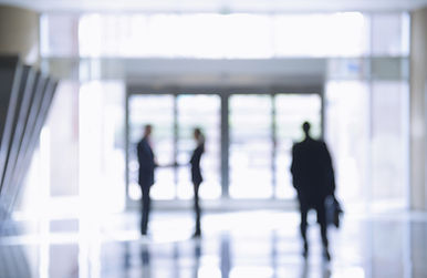 Borrosas Personas de Busines