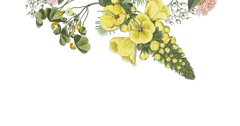 イラスト花