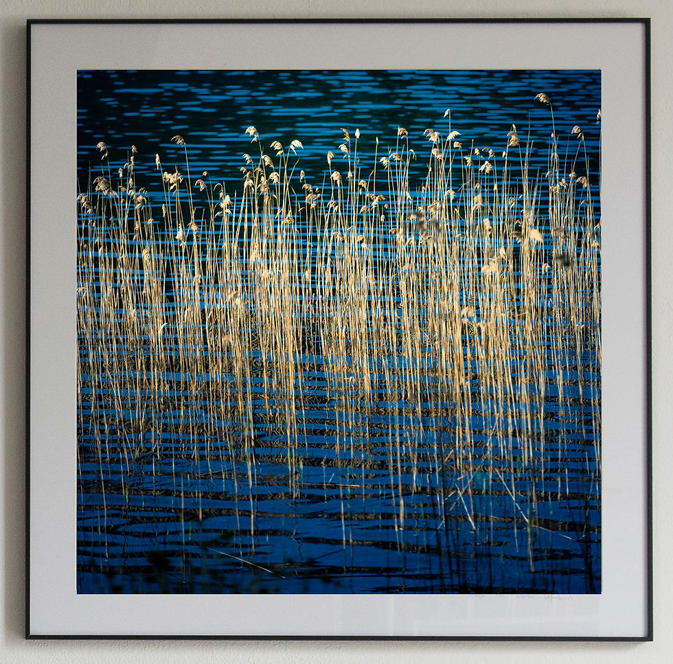 Miniatura: Blu Reflection