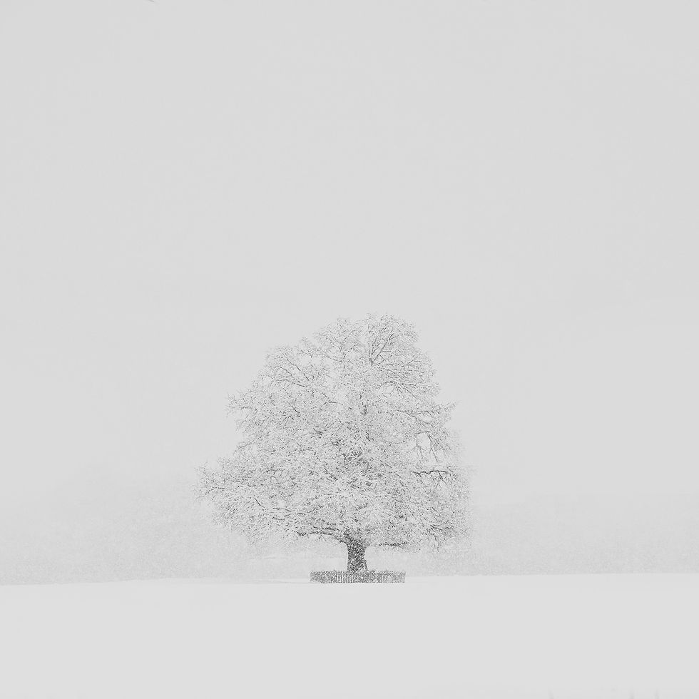 winter whispering_winter aloneness_lunardi_stefano__D8D4764Q