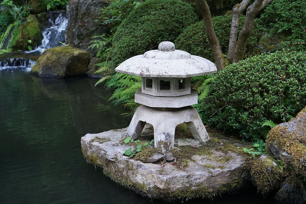 Shoshin Therapies - Zen State Mushin