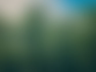 TAP INTO THE HEALING ENERGY OF TREES