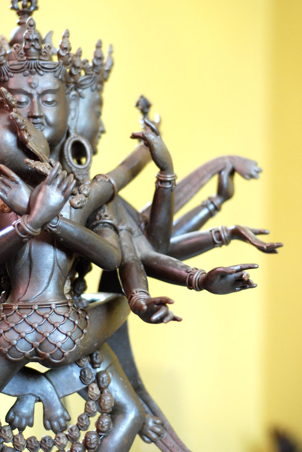 Shoshin Therapies - Tantra - Embrace Future