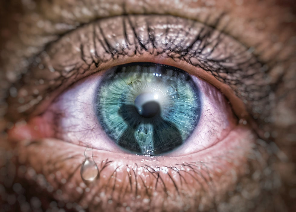 Shoshin Therapies - Green Eye - Jealous Partners