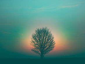 FIVE THINGS TO HELP YOU UNDERSTAND WHAT SPIRITUALITY IS ABOUT