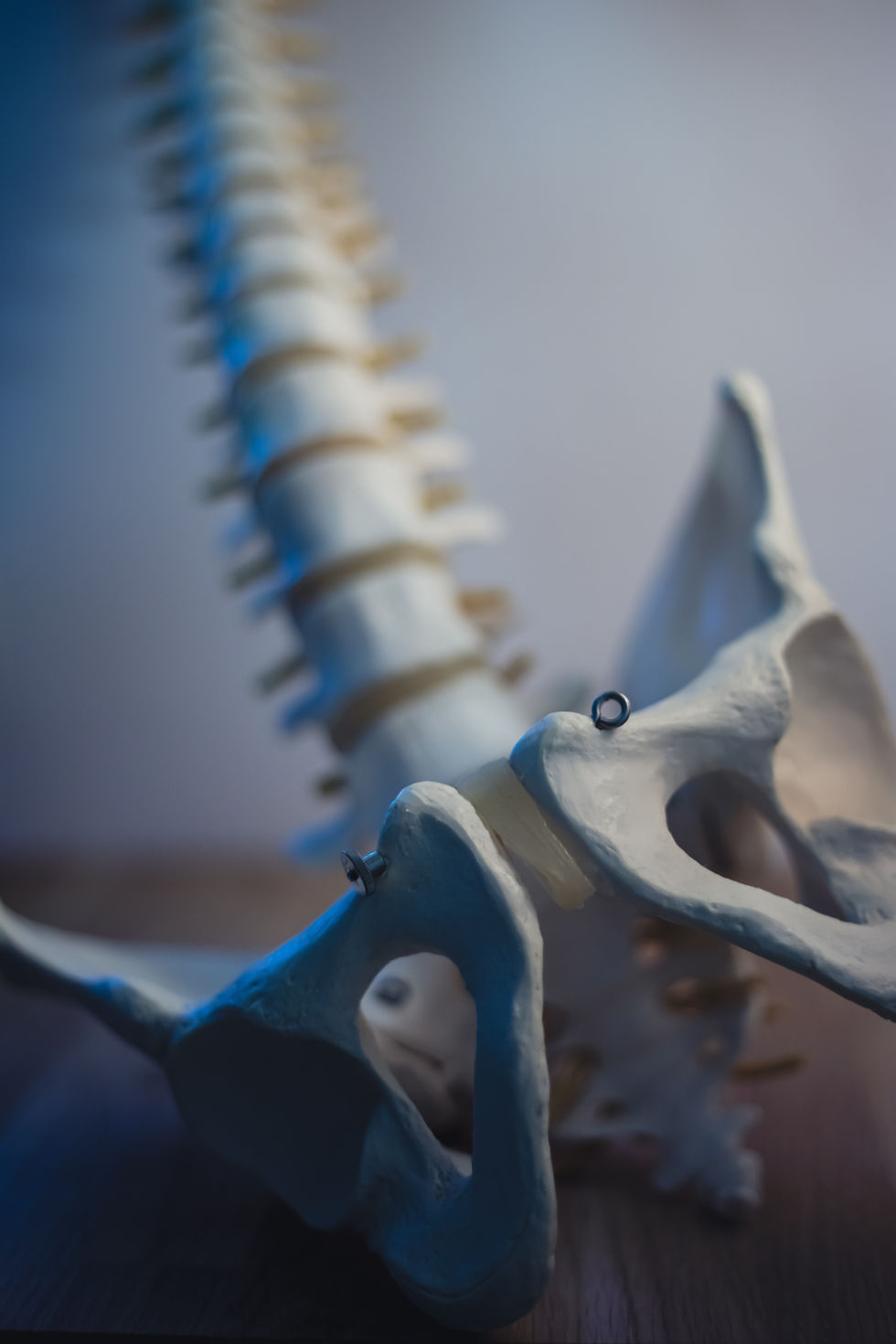 Shoshin Therapies - Somatic Pelvis Bodywork