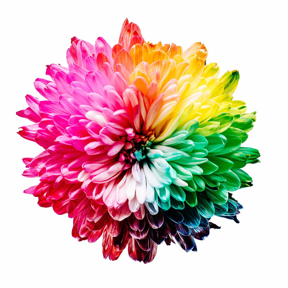 Shoshin Therapies - Auras - Chakras - Meridians