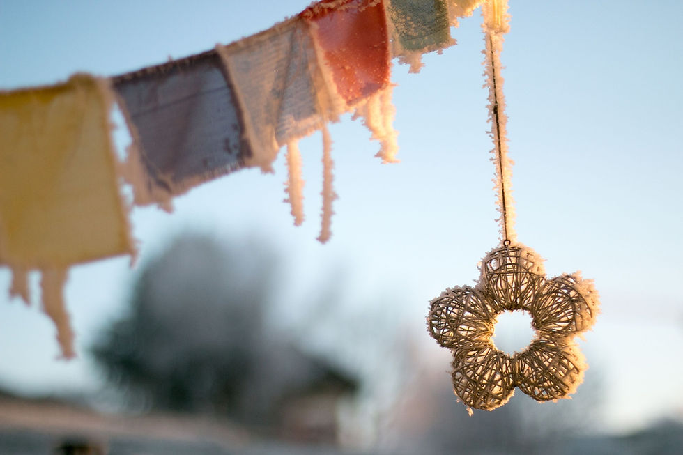 Shoshin Therapies - Reiki Healing - Tibetan Prayer Flags