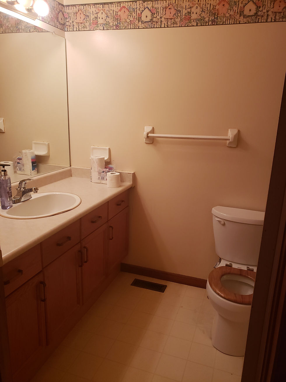Dark and dated main-floor bathroom before renovation showing an old vanity, toilet and towel bar