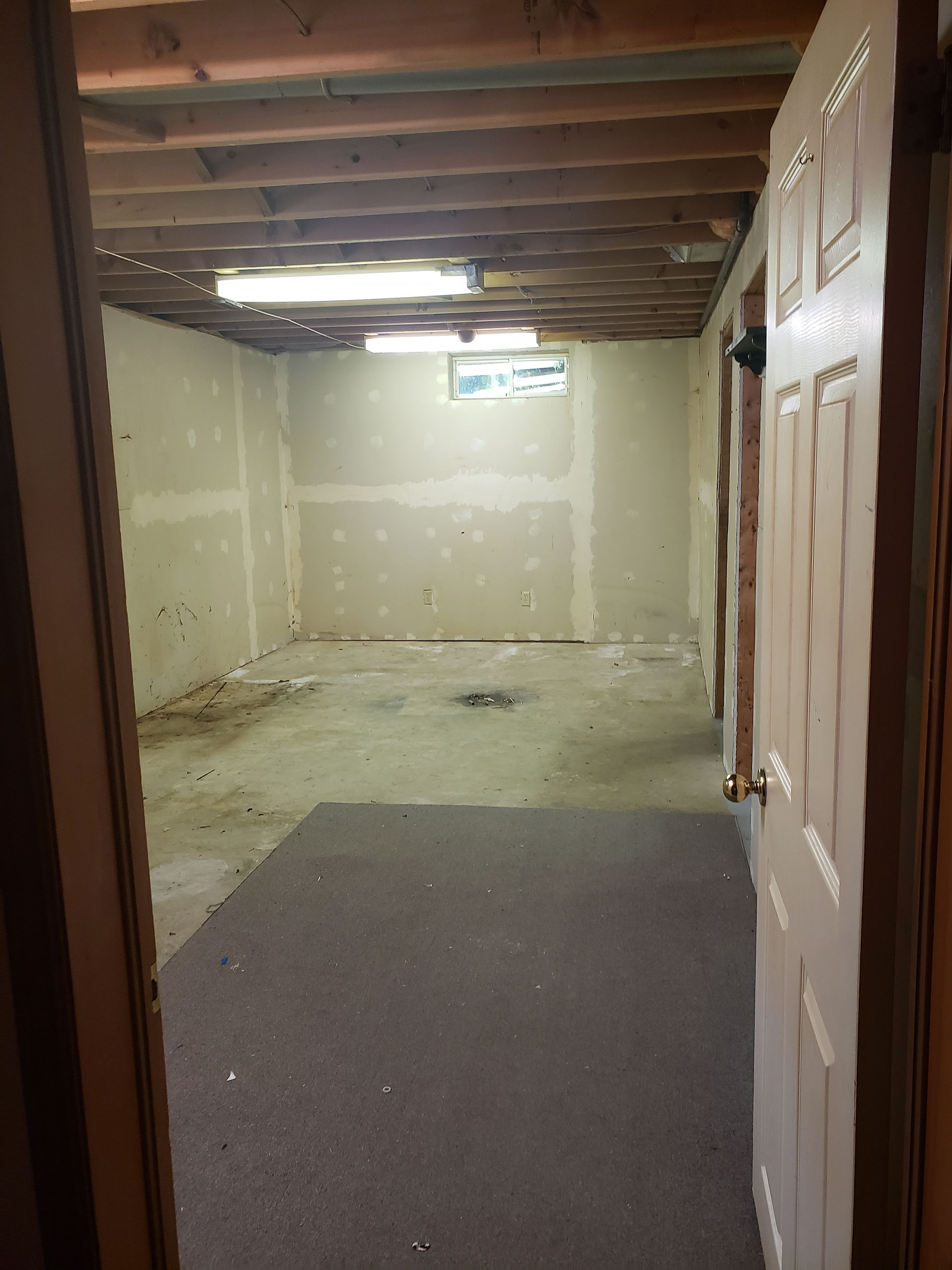 Bleak looking room with unfinished cement floors and fluorescent lights through open door.