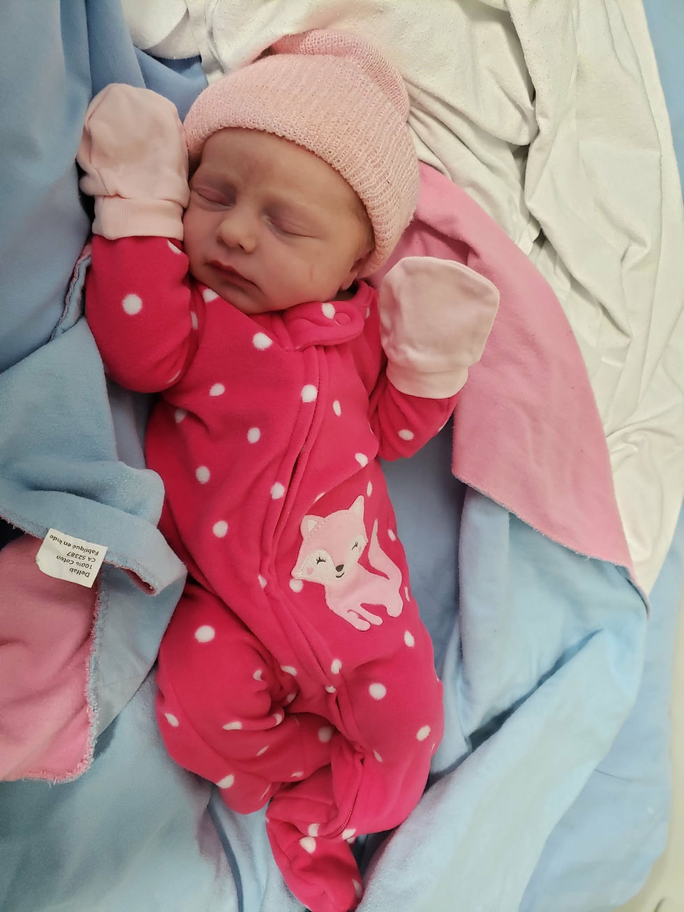 Newborn baby sleeping in a pink polka-dot onesie with a fox design, wearing a pink hat, nestled in blue and pink blankets. Peaceful mood representing choosing a name for your baby.