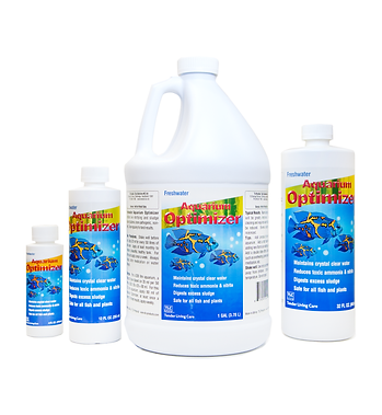 FRESH WATER AQUARIUM MAINTENANCE
