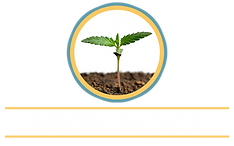 MN Cannabis Community Grow Basics