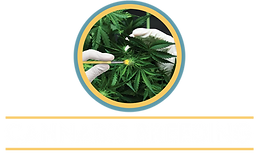 MN Cannabis Community Cannabis Breeding