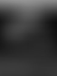 Canal 6: LÁpides perpetuam