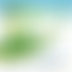 Evento nos dias 08 e 09, marcará a Semana do Meio Ambiente em Cachoeiras