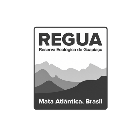 regua site.png
