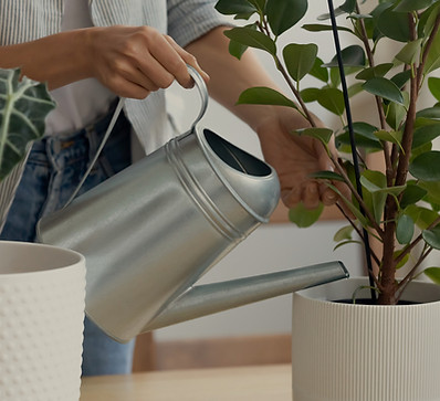 Watering House Plants_edited.jpg