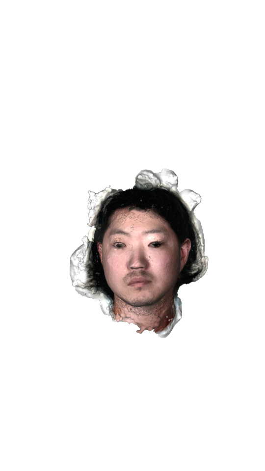 model.gif