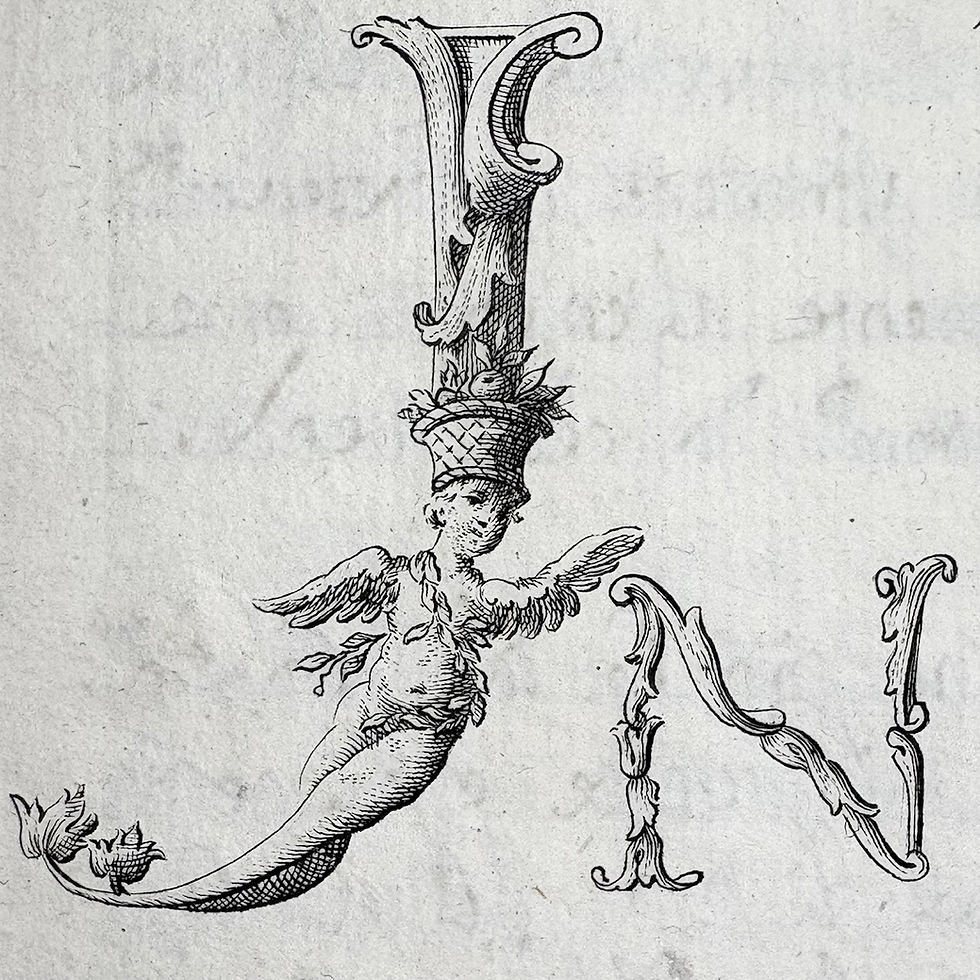 Thumbnail: An elegant way to begin legal documents.