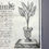 Thumbnail: Cultivating American plants in 18th-century Vienna.