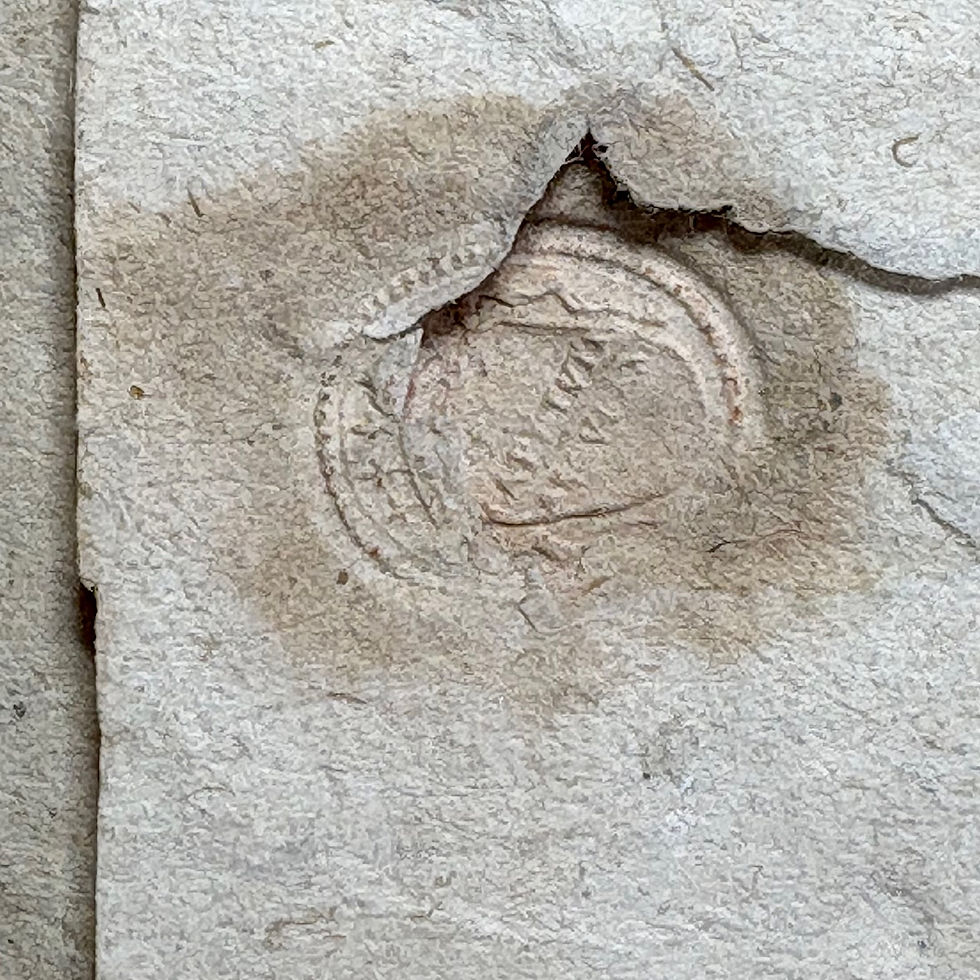 Thumbnail: Dust from the tombs of Emidio: Protection against earthquakes.