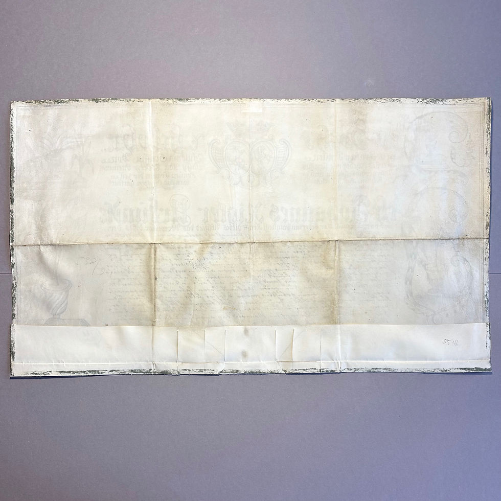 Thumbnail: Cultivating American plants in 18th-century Vienna.